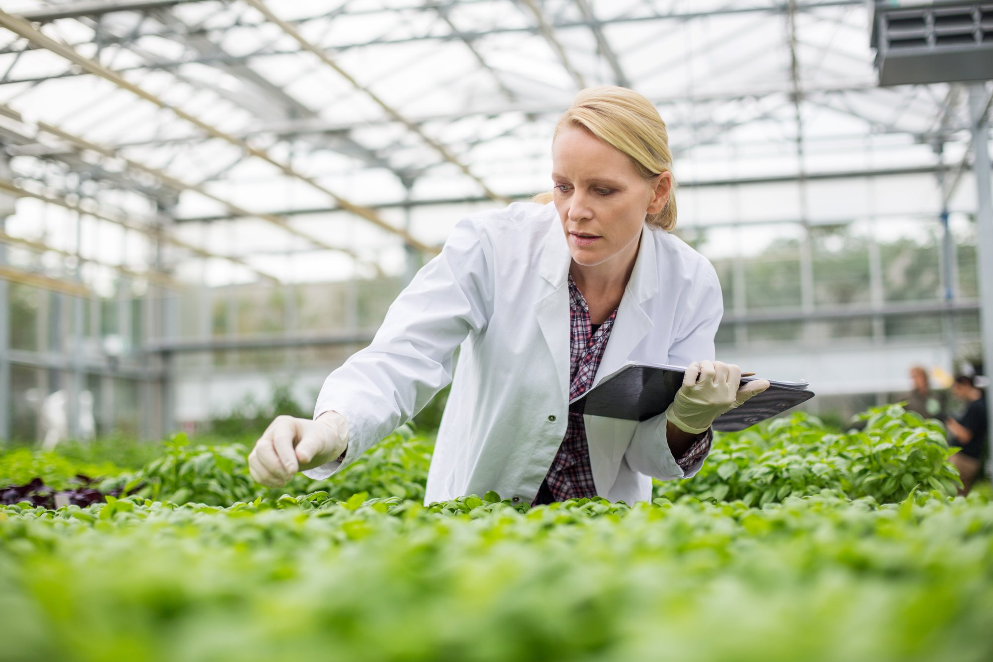 CEW_Scholarships_Sustainability