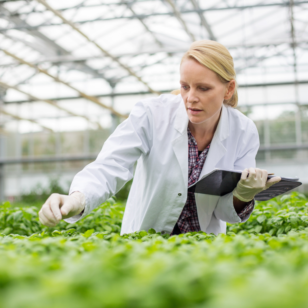 ANZ CEW Woman Leader in Sustainability